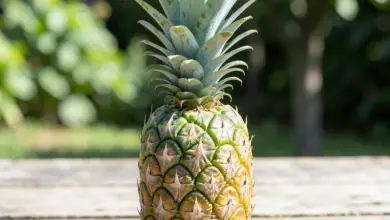 co obsahuje ananas a jeho nutriční hodnoty - Co obsahuje ananas - ilustrační foto