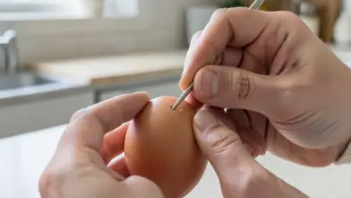 Jak vyfouknout vajíčko bez námahy a jednou dírkou - ilustrační foto