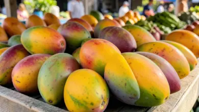 Jak vybrat a skladovat mango - ilustrační foto