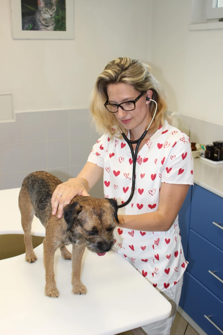 Veterinářka auskultuje štěně na vyšetřovacím stole.
