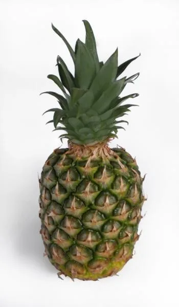 Celý zralý ananas na bílém pozadí pro článek o nutričních hodnotách.