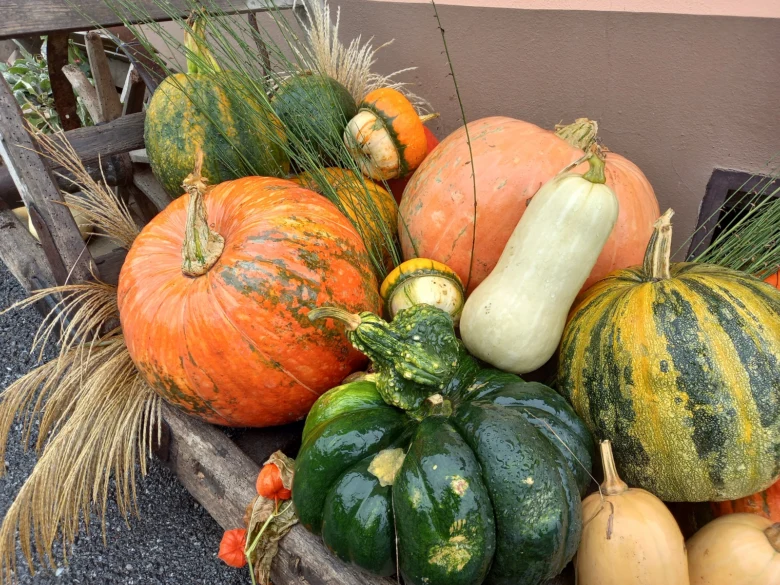 Pumpkins and gourds