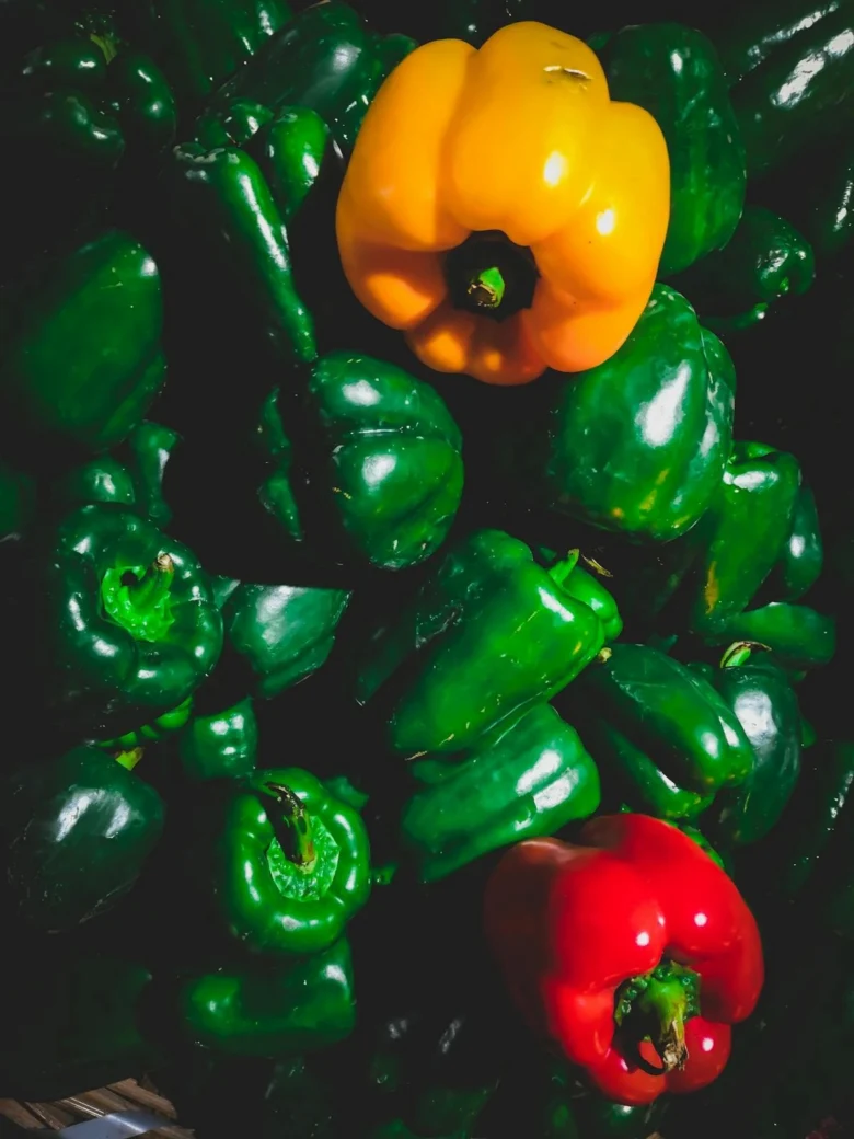 Zelené, žlutá i červená paprika v různých odrůdách.
