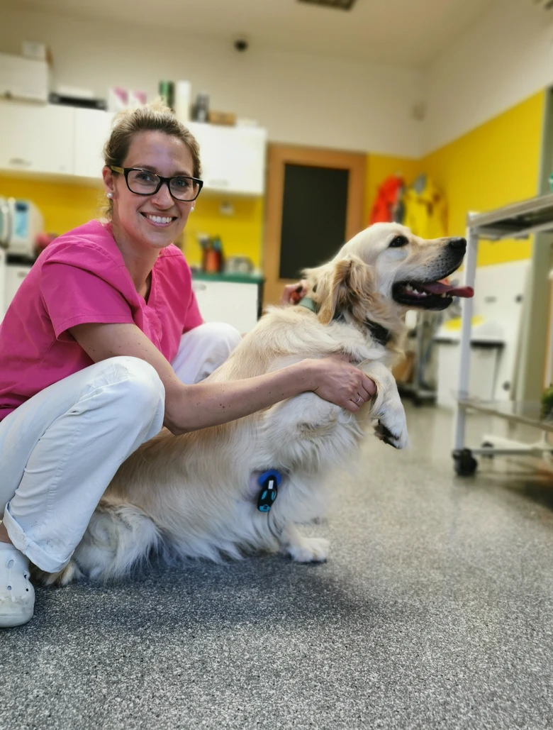Veterinářka drží štěně zlatého retrívera v ordinaci.