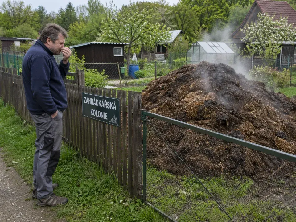 Muž čichá k hromadě kompostu v zahrádkářské kolonii.