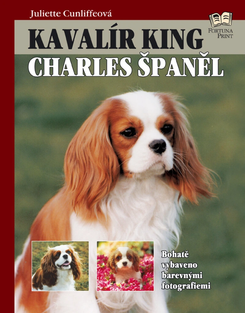 Portrét kavalíra king charles španěla s dvěma menšími fotkami psů.