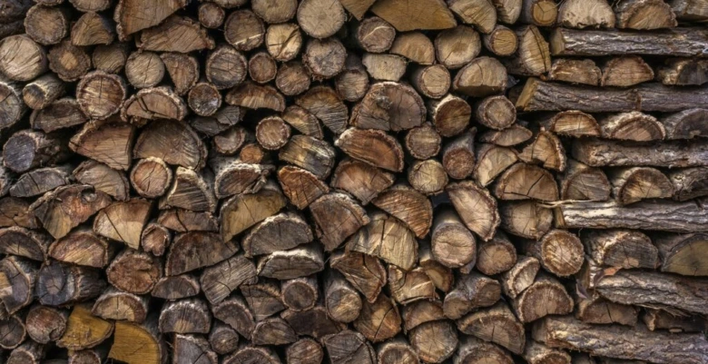 Skládané dřevo v dřevníku s viditelnými řeznými plochami a kůrou.