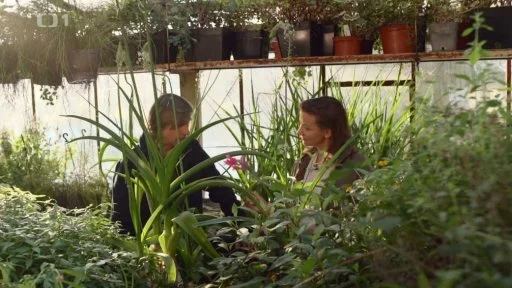 Women gardening indoors