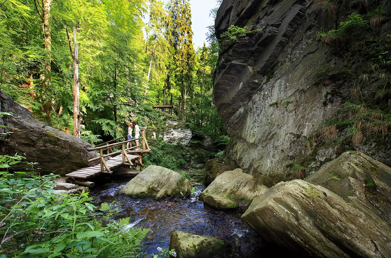 Lesní potok s dřevěním mostem pro turisty v ČR