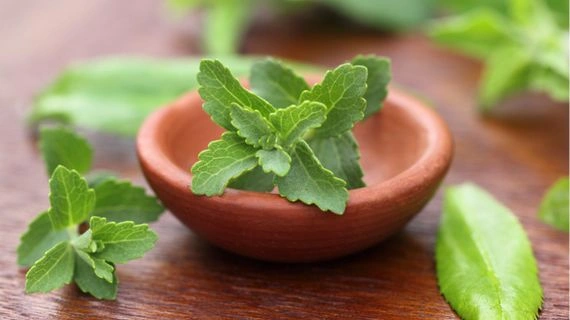 Stevia leaves in bowl