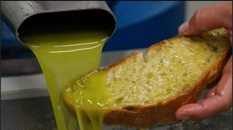 Čerstvý olivový olej se nalévá na kousek chleba.