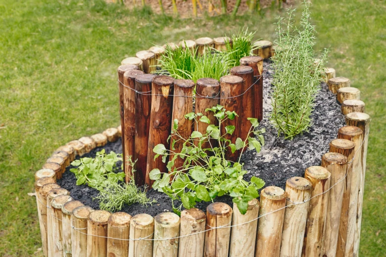Herb garden with wooden border