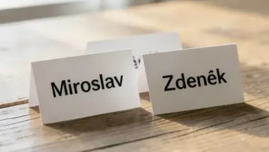 Jaké jsou významy jména miroslav zdeněk - ilustrační foto