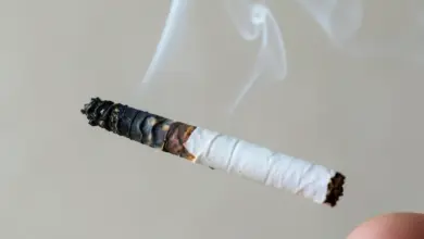 co je cigareta a jak ovlivňuje zdraví - Co je cigareta a - ilustrační foto
